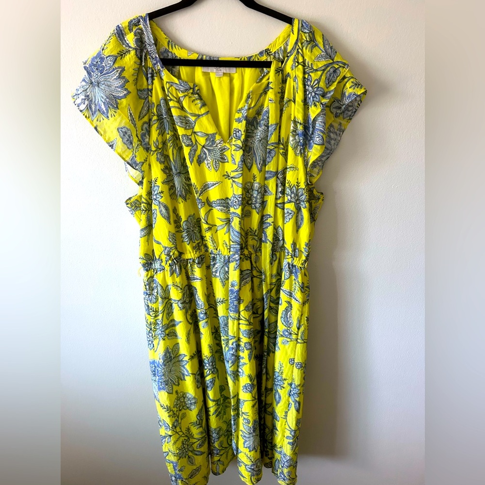 Loft Plus Size